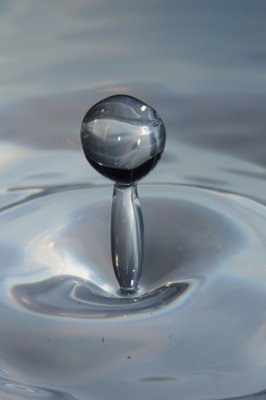 Fragil soutien_4348857276_l.jpg